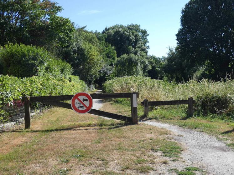 Convertie en piste cyclable, l'ancienne voie de chemin de fer reliant Cabariot à Bourcefranc-le-Chapus permet de découvrir le territoire sans partager les lieux avec les véhicules à moteur.