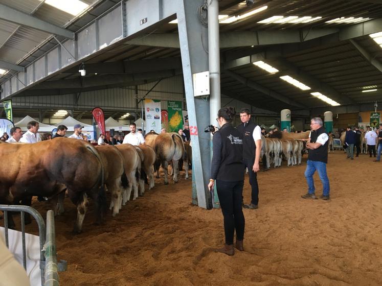 Le National Parthenais se tiendra lors du festival.