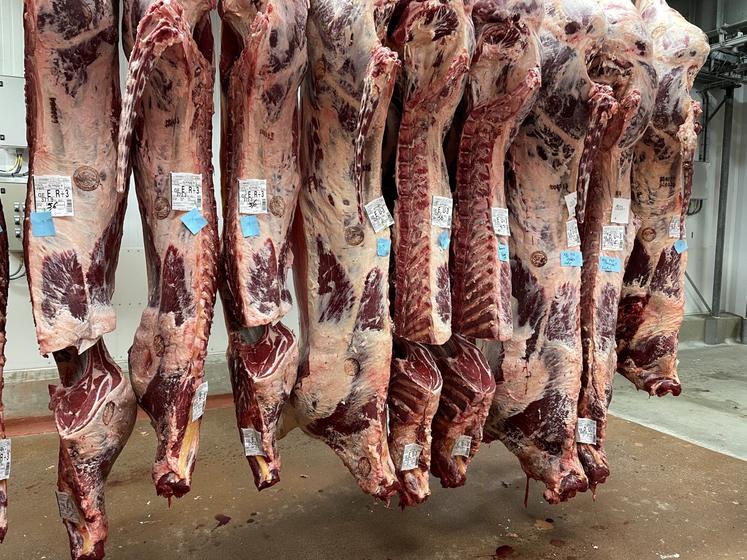 Les Français ont consommé en moyenne 21,3 kg éq. carcasse de viande bovine (kgéc) en 2023, soit 5 kg de moins qu'en 2003. Le porc et l'agneau sont également en baisse, supplantés par la volaille, qui a gagné 7 kgéc en vingt ans, soit 29 kgéc/pers. en 2023.