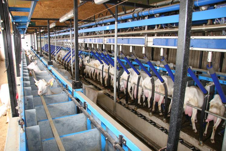 La collecte a baissé de 4,6 % en France sur le premier quadrimestre 2025.