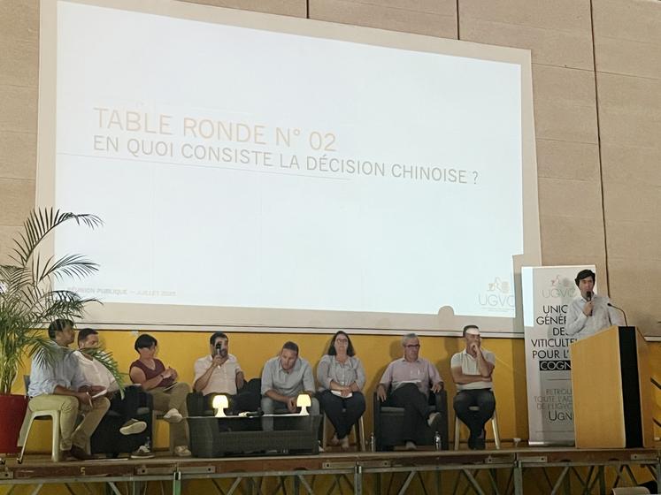 La deuxième table ronde portait sur les perspectives d'avenir et a associé des représentants de la Coordination Rurale, de la FNSEA et des Jeunes Agriculteurs.