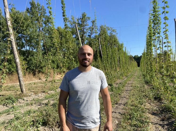 Vincent Auzanneau est également vice-président de l'association Houblon Nouvelle-Aquitaine.