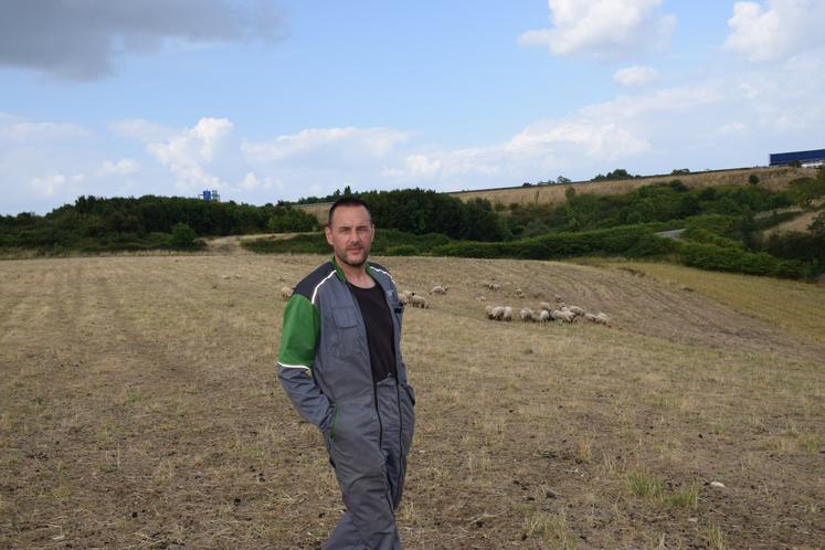 Le troupeau de 70 brebis permet de valoriser les coteaux de l'exploitation de Mathieu Guilbot.