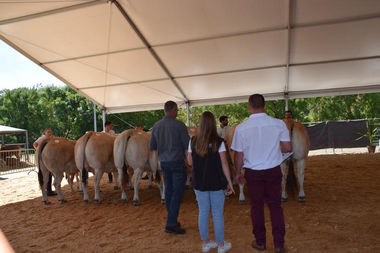 Départemental Parthenaise Lezay août 2025