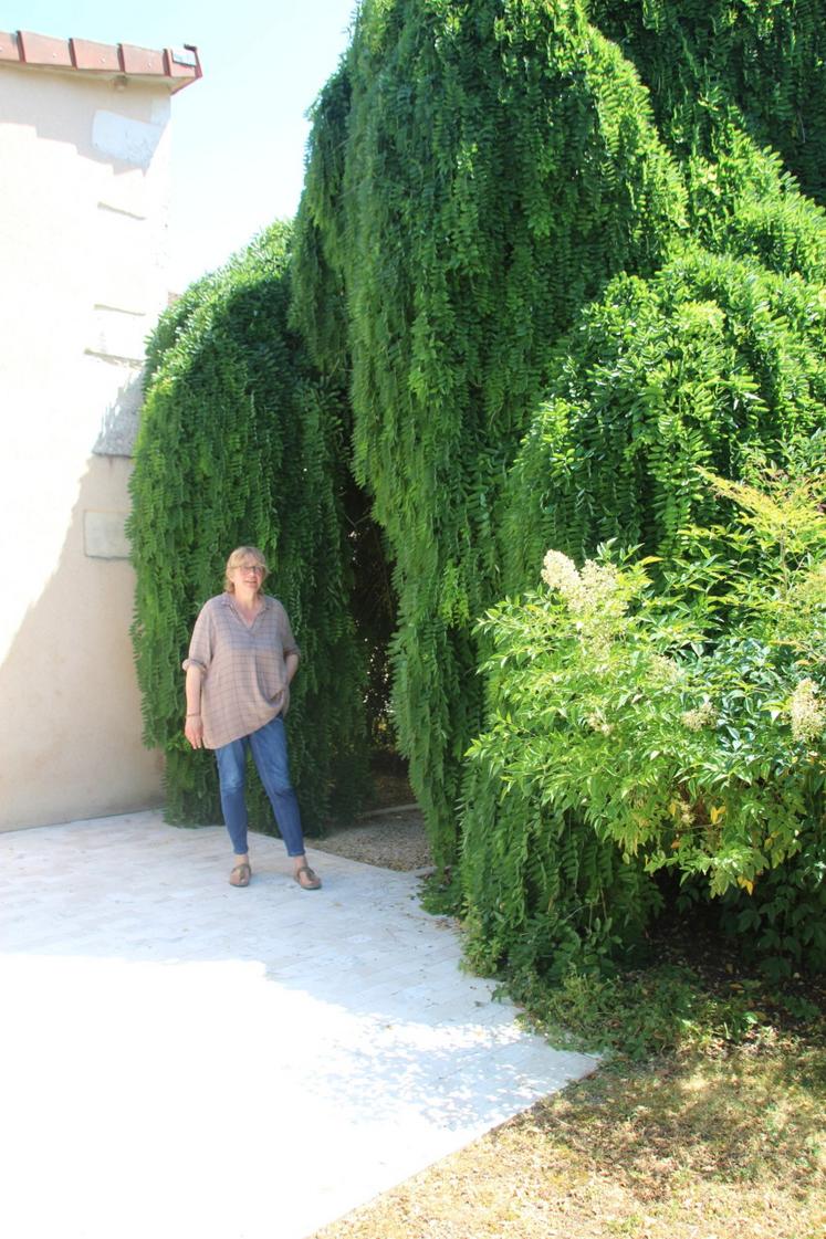 Sylvie Retailleau devant le Sophora pleureur du gîte " chez Gustave ".