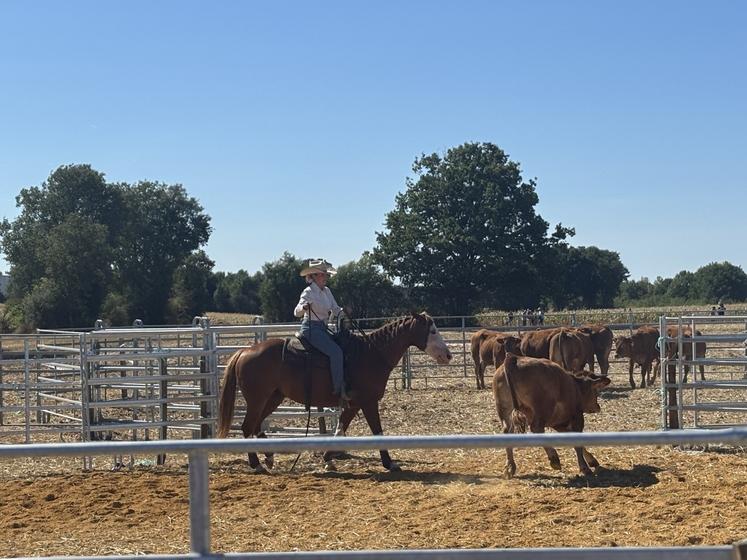 Des démonstrations de tri de bétail étaient proposées.