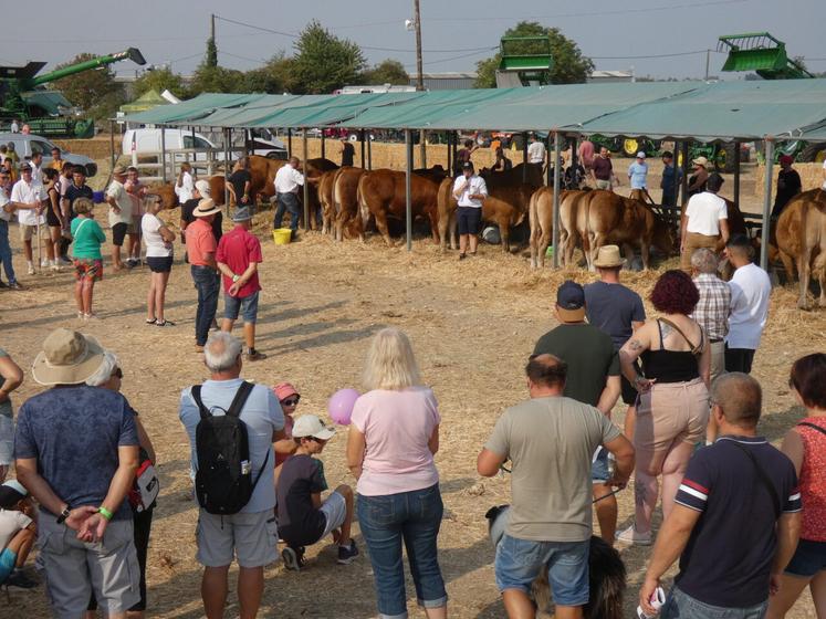La race bovine la mieux représentée lors de cette Fête de la Terre était celle des limousines ; les animaux ont d'ailleurs participé à un concours départemental le dimanche matin.