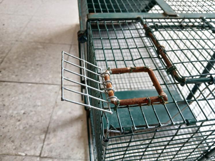 Les cages-pièges (catégorie 1) doivent comporter une trappe de 5 x 5 cm, placée en hauteur dans les angles, ouverte en permanence du 1er avril au 31 juillet.