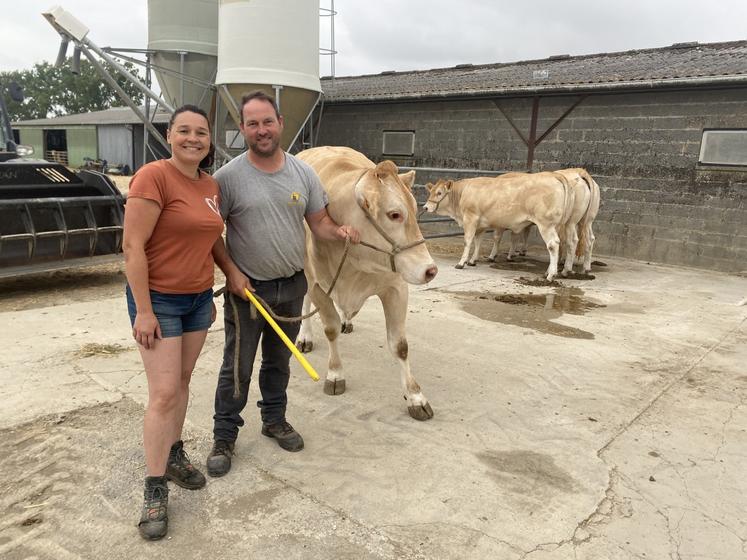 Le taureau et les quatre génisses du Gaec vont concourir auprès de 500 animaux issus de 131 élevages.