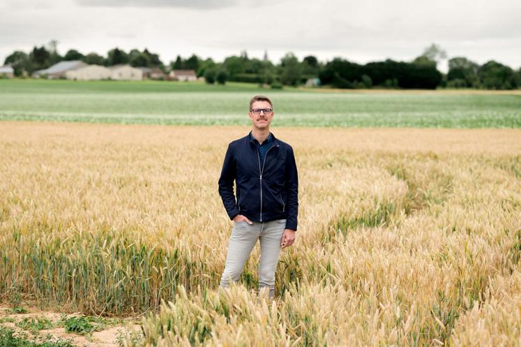 Clement Mabire exploite aussi une soixantaine d'hectares de grandes cultures en Normandie.