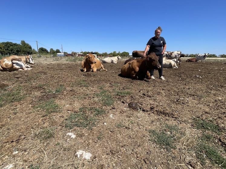 Amélie Teixeira, au milieu de ses vaches, dans sa ferme située à quelques mètres de l'estuaire de la Gironde.