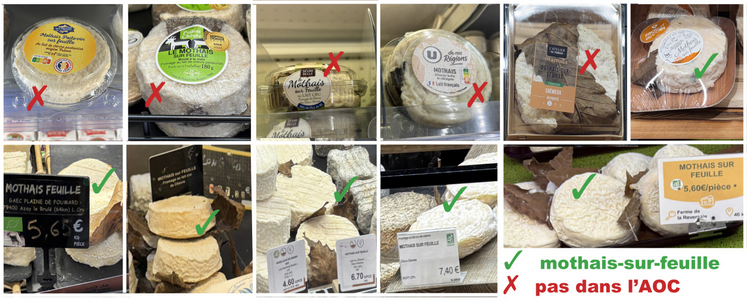 Difficile de s'y retrouver dans les étals des grandes surfaces, chez les fromagers ou dans les magasins de producteurs. Pour les produits non emballés, même si les Mothais-sur-Feuille sont des vrais, l'AOC n'est pas toujours indiquée...