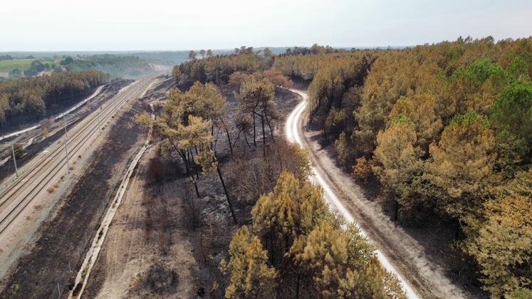Le feu a traversé la ligne LGV.
