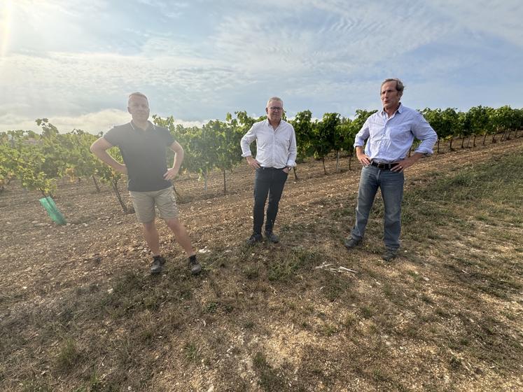 De gauche à droite : Fabrice Thibaudeau, viticulteur et représentant du Groupe Technique Flavescence Dorée de la Fédération des Interprofessions ; Vincent Lang, directeur du pôle Technique et Développement Durable du BNIC ; Éric Billhouet, président de la Fédération des Interprofessions du Bassin Viticole Charentes-Cognac.
