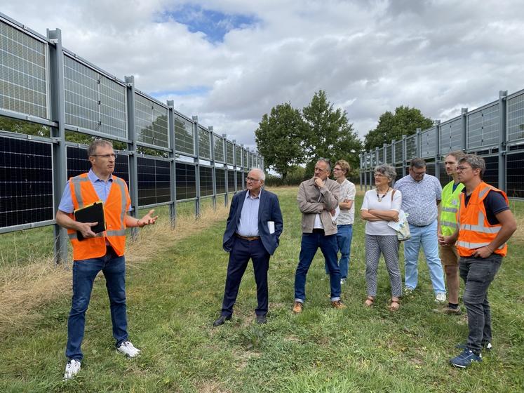 La parcelle est équipée de capteurs, sur la zone équipée comme sur la zone témoin. La première année d'expérimentation rend compte de fourrages présentant un meilleur taux d'azote
dans la partie ombragée par les panneaux.