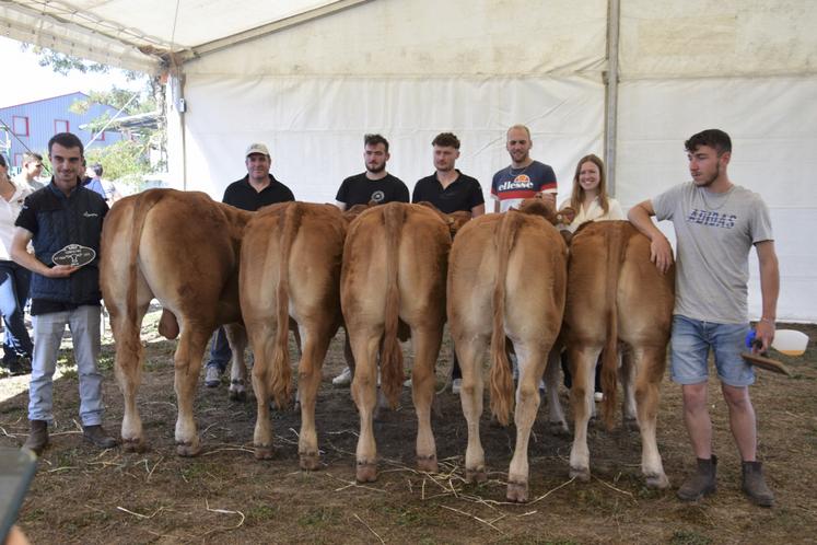 Les cinq jeunes animaux du Domaine des Étoiles.