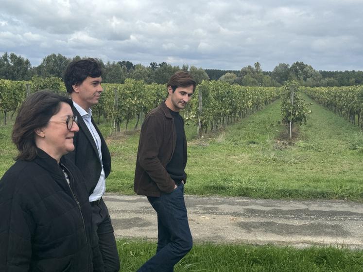 L'UGVC organise ses traditionnelles rencontres « vendanges ». Le 22 septembre, c'était chez Arthur Brisson, viticulteur à Angeac-Charente.