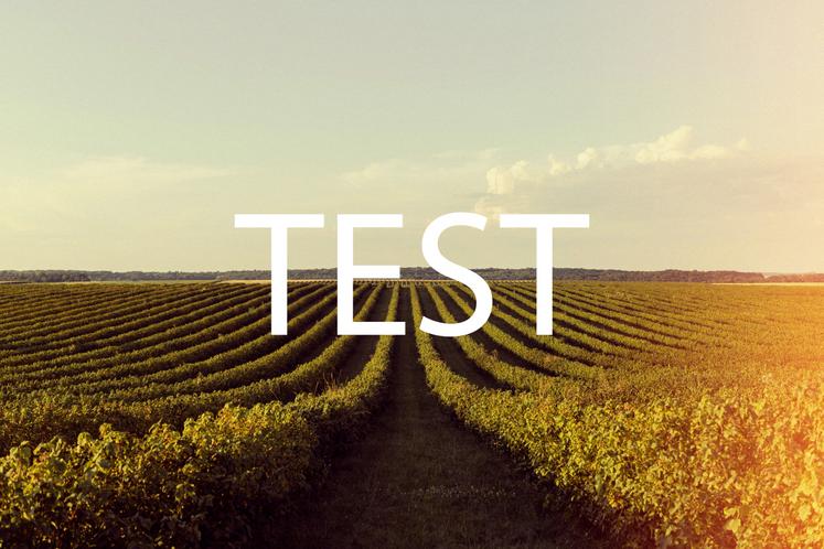 Photo des bénévoles de la foire