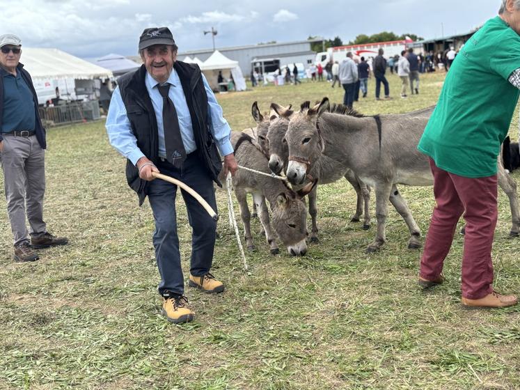 Grand fidèle du Comice agricole, Guy Moinard avait notamment apporté ses ânes, guidés par son chien.