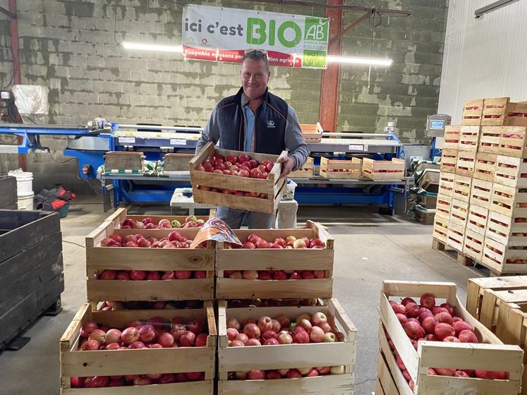 La récolte de pommes est déjà bien avancée à Secondigny.