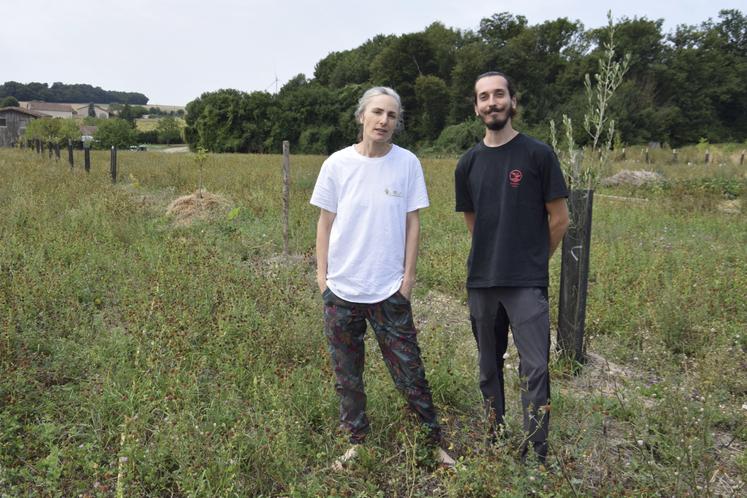 Florence Thivet et Nicolas, un stagiaire de la ferme, devant un rang d'arbres plantés dans une démarche d'agroforesterie.