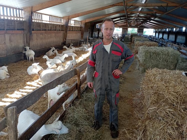 Antony Letourneau a développé depuis une vingtaine d'années un élevage caprin au cœur d'une Haute-Saintonge davantage tournée vers la production viticole.
