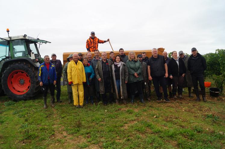 Le groupe de vendangeurs attelé sur une parcelle de merlot rouge.