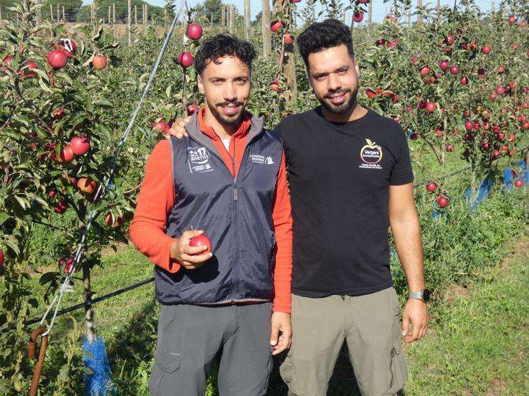 Même si les années difficiles s'enchaînent dans les vergers, Soufiane et Issam Hachmi soulignent leur amour de ce métier. « La météo est intransigeante, mais d'un autre côté, c'est satisfaisant de pouvoir cueillir des fruits que l'on a vu grandir et se développer. Ça n'a pas de prix. Et les retours des clients font plaisir également. »