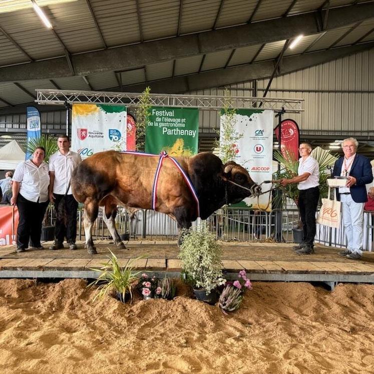 Sardou, du Gaec de l'Eteil (Fomperron), a été sacré champion mâle adulte.