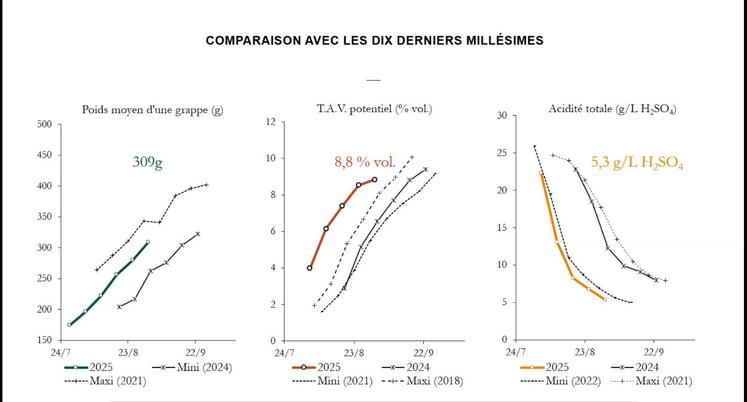Les relevés du réseau du BNIC montrent un poids des grappes plutôt faible, avec un TAV potentiel très élevé et une faible acidité.