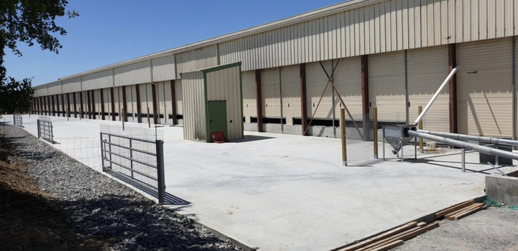 Les travaux portent beaucoup sur le bien-être, comme ici avec l'accroissement de la lumière extérieure pour les volailles.