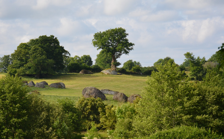 75 % du territoire de Gâtine est constitué de surfaces agricoles, dont près de la moitié est en prairies.