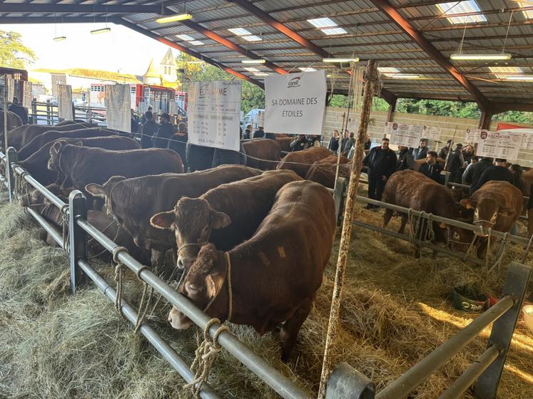 Les prix se sont envolés, à raison de près de 5 700 euros en moyenne.