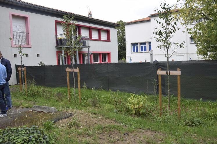 Allée Castaigne à Angoulême, un petit espace vert a été aménagé. Il doit être équipé de sondes tensiométriques dans le sol pour mesurer la réserve en eau.