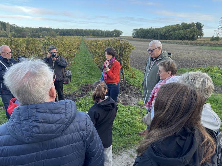 L'exploitation a ajouté des visites guidées à son offre pour faire découvrir ses cognacs.
