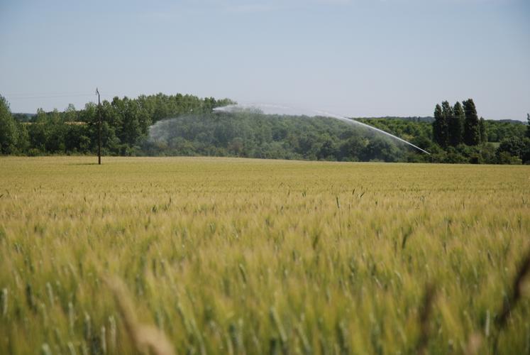 La décision de la cour administrative d'appel de Bordeaux va impacter les exploitations irrigantes en grandes cultures, mais également celles spécialisées dans le maraîchage ou pratiquant l'élevage.