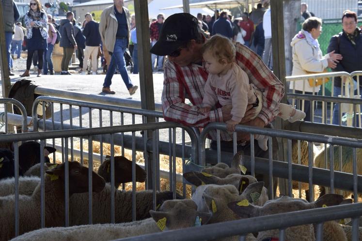 Le public a pu découvrir l'élevage ovin charentais.