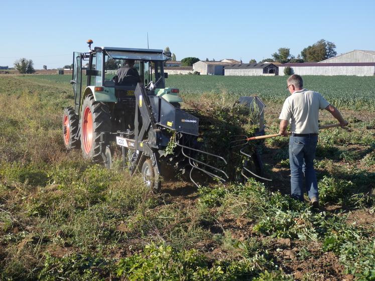 La récolte des cacahuètes s'effectue avec un arracheur spécialisé, un matériel acquis par la coopérative au Brésil.