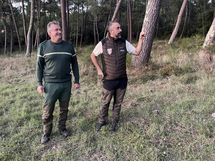 Nicolas Ratel (Office national des forêts) et Gwenaël Pourcel (Fédération départementale des chasseurs) ont comptabilisé le brame des cerfs dans la forêt de la Coubre.