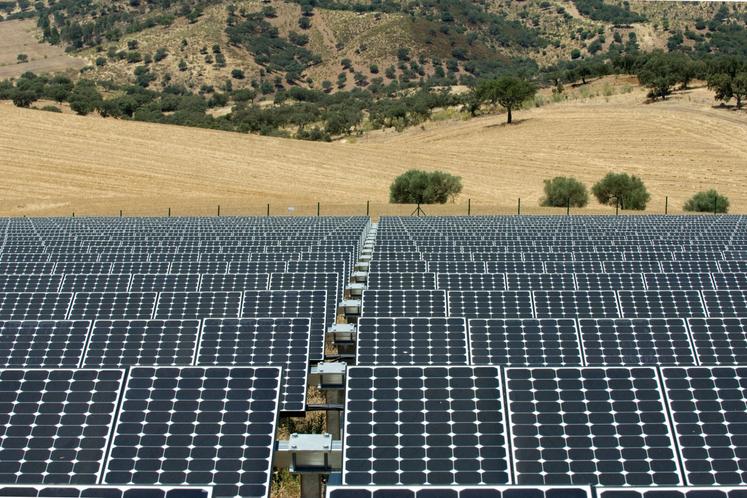 Les surfaces agricoles et forestières des Deux-Sèvres ne sont plus autorisées pour l'installation de parcs photovoltaïques. Seules les parcelles considérées comme incultes ou non exploités depuis 2013 et ne pouvant de nouveau être productives peuvent être éligibles.