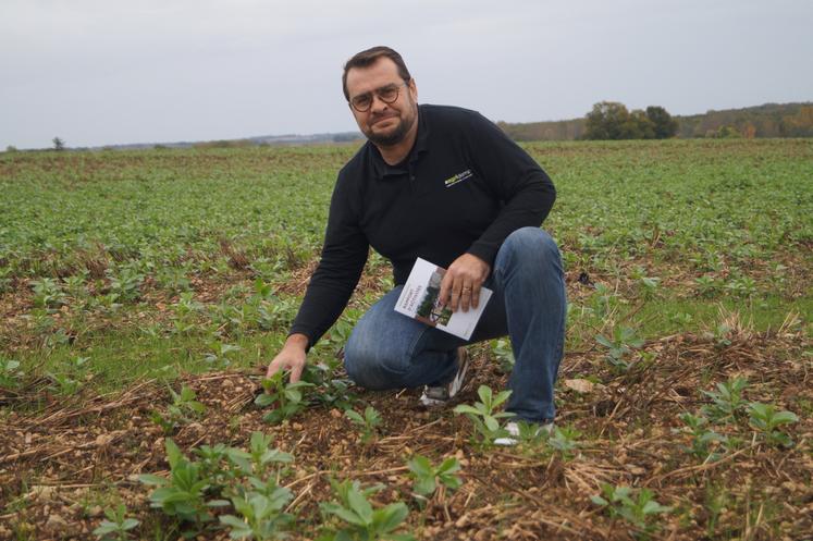 Le céréalier de Gurat, Ludovic Massacret, est le nouveau président national de l'association #agridemain.