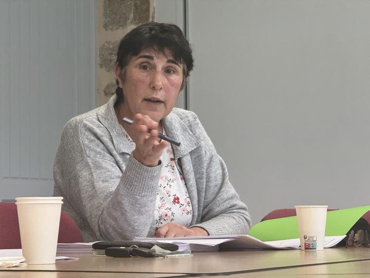Nathalie Augas, conseillère en production ovine à la Chambre d'Agriculture, a présenté les bilans d'activité lors de l'assemblée générale de l'Aeocape.
