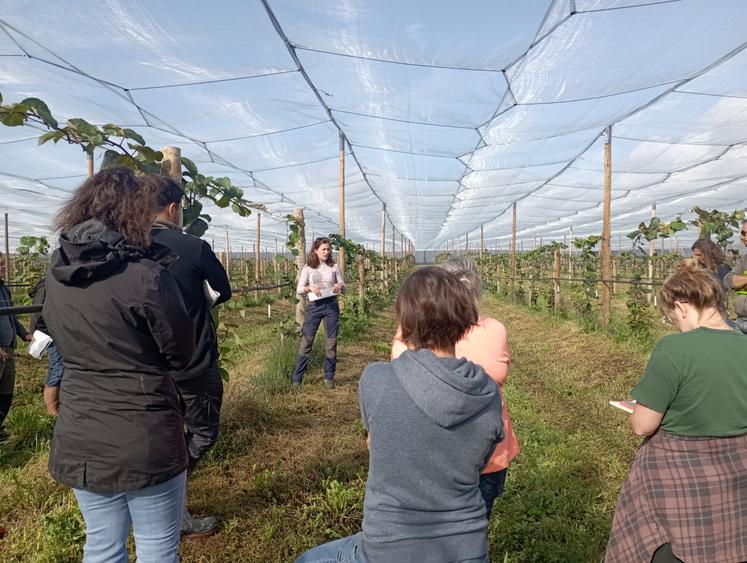 Axelle Benoist a expliqué son installation et la conduite de la production de kiwis, pendant toute la matinée du 15 septembre.