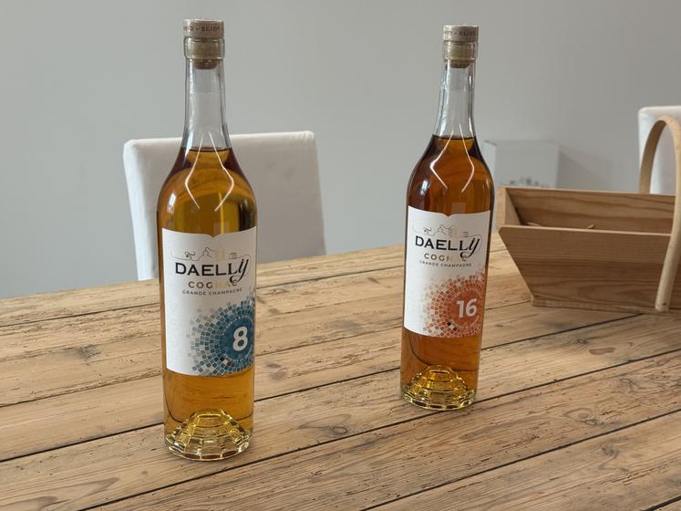 La Plante du Roy à Segonzac a lancé deux bouteilles de cognac en vente direct sur l'exploitation et organise des visites.