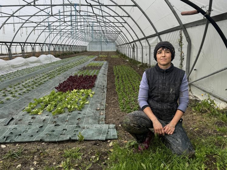 


 "La commune était accueillante, les installations en place étaient fonctionnelles, même si certaines nécessitaient des améliorations (comme le remplacement des bâches des serres ou la modernisation du système d'irrigation). Il y avait déjà des débouchés, notamment des marchés locaux, ce qui était rassurant", explique Marie-Loup Nivet, maraîchère  en agriculture biologique à Salles-Lavalette depuis fin 2023.