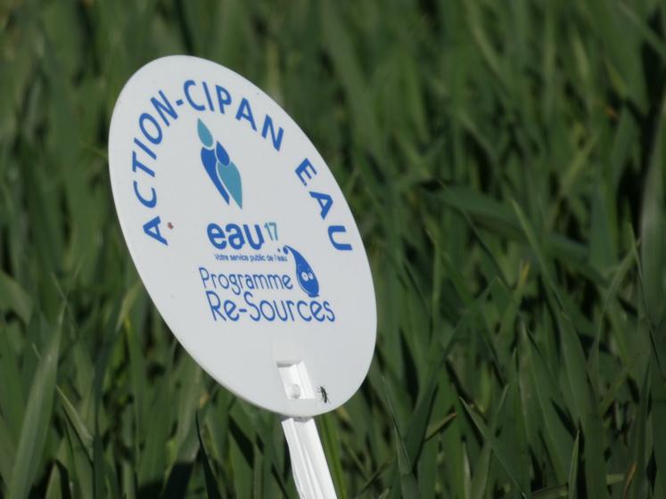 Sur l'aire d'alimentation du captage du Bouil de Chambon, " compte tenu des actions engagées par Eau 17 depuis plus de 15 ans, les résultats et engagements doivent être massifiés par un dispositif réglementaire davantage contraignant afin d'aboutir à des résultats plus tangibles sur la qualité de l'eau ", indique la feuille de route.