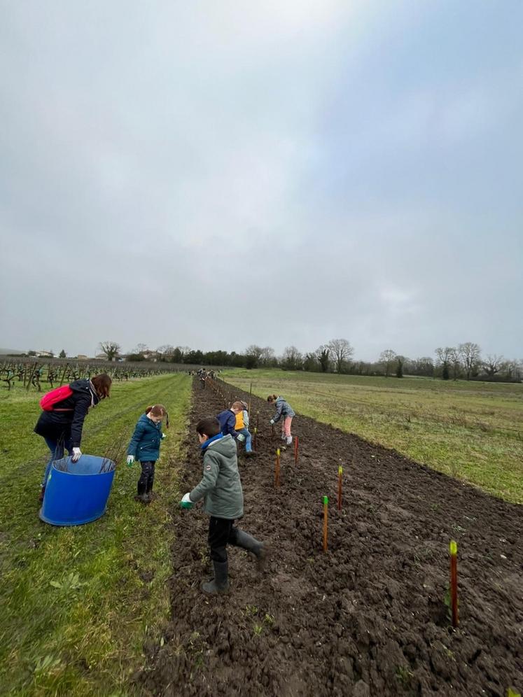 La prise de contact a eu lieu lors d'une opération de plantation de haies dans le cadre du programme EVA 17.