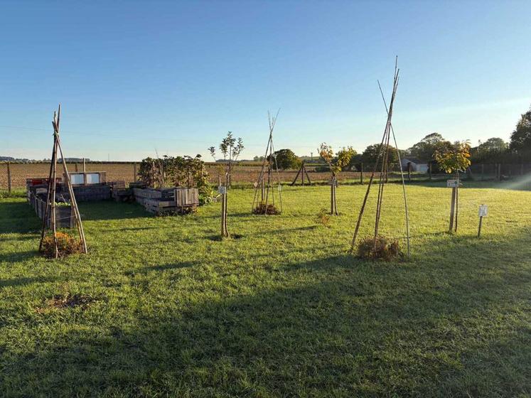En remerciement pour leur implication, les membres de l'ACCA ont offert aux élèves de l'école cinq arbres fruitiers plantés dans un jardin partagé.