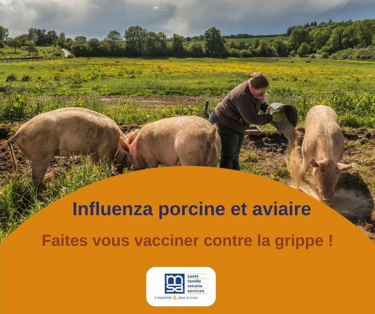 Tous les professionnels travaillant au contact des porcs ou des volailles sont invités à se faire vacciner.