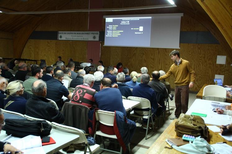 Les prix moyens des lots de taillis (chêne, charme, châtaigner), en léger recul, se situent entre 15 et 20 €/stère.